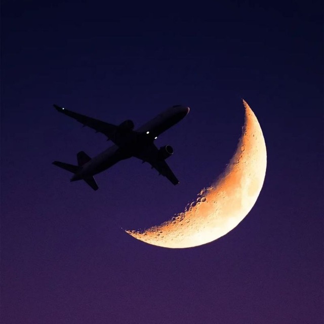 Dream